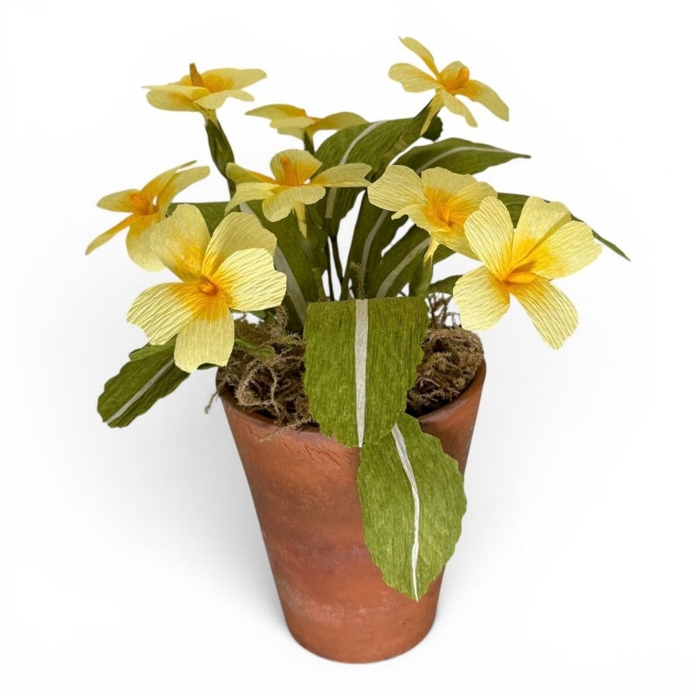 Side view of Gretel’s handmade paper primroses and leaves in a vintage terracotta pot